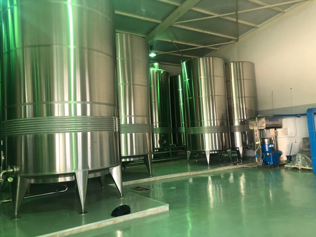 Temperature-controlled stainless steel olive oil storage tanks